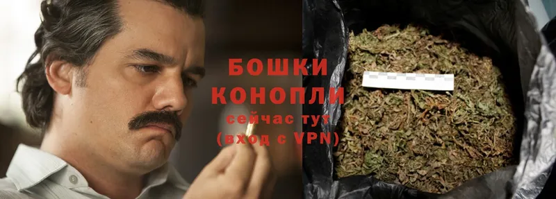 Конопля Bruce Banner  Пучеж 